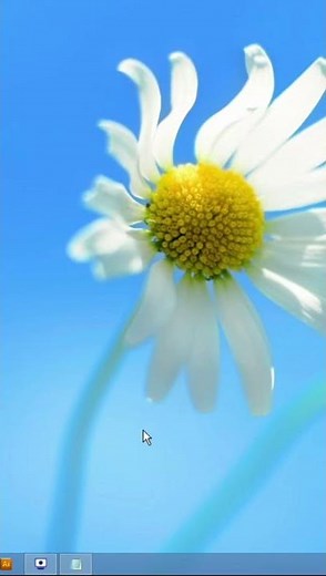 How to apply Table Background Image/Logo Tag in HTML ।। Table Image Background Tag ।। Table Tag