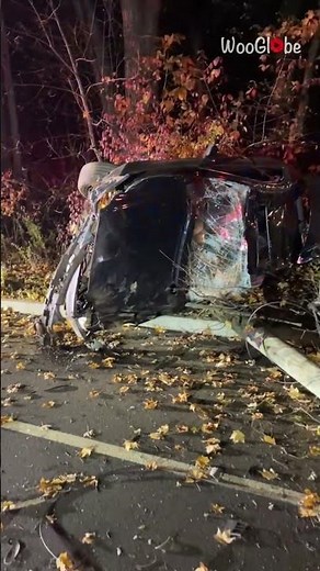 Car Accident Aftermath: Heartbreaking Scene Highlights Speeding Risks || WooGlobe