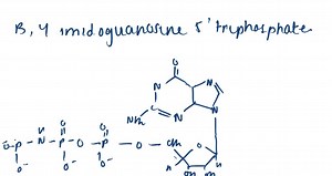 SOLVED:Many enzymes can hydrolyze GTP between the βand y… | Numerade