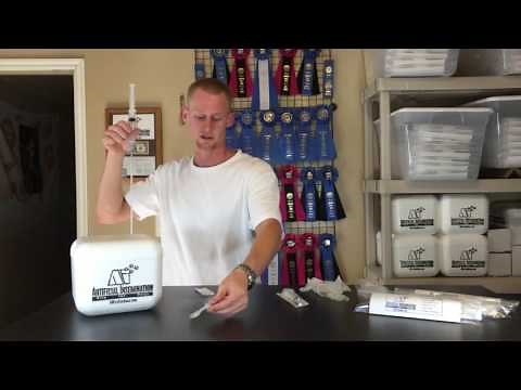 How to Use Your Fresh Artificial Insemination Kit for Dogs