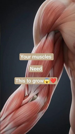 how muscle grow 🔥❤️ #hypertrophy