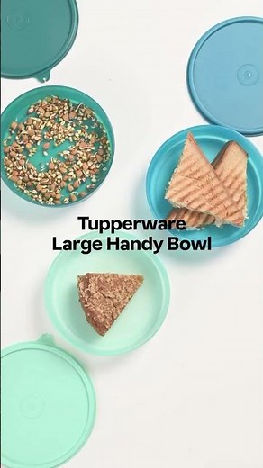 The Tupperware Large Handy Bowls