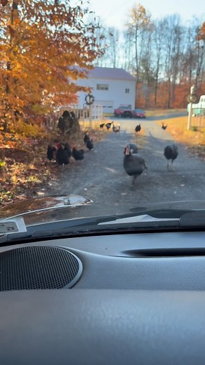 Timing is perfect 😂😂 | Dave Spory