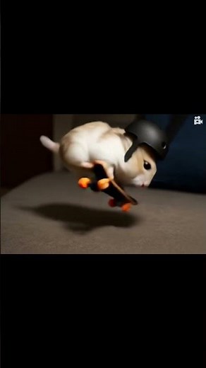 Hamster performs a backflip on a skateboard #hamsters #funnyanimals #funny #skating