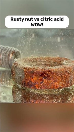 Rusty Nut vs Citric Acid