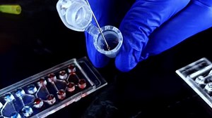 Doctor Takes Blood Test Syringe Test Coronavirus Creating Vaccine Scientists