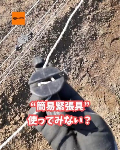 【電気柵】ポールごとの固定は必要なし！“簡易緊張具”を使ってみない？ #農業 #獣害対策 #フェンス設置