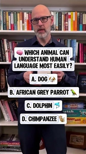 Which animal can understand human language most easily? #trivia #animals