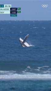 A magical moment in the middle of the Olympic Games. 🐋✨ Celebrating #WorldOceanDay, with this unforgettable scene when a whale surfaced during the women’s surf semifinals in Tahiti at #Paris2024. #surfing | Olympics