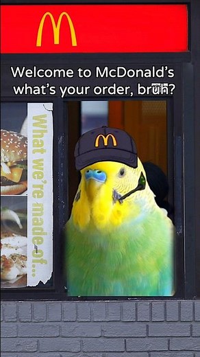 McDonalds bird