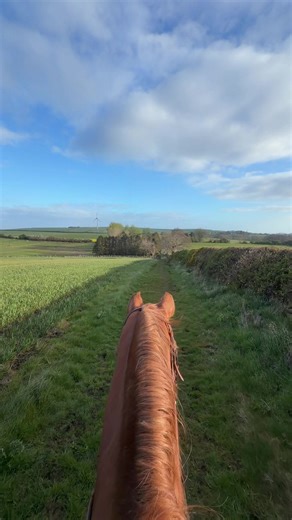 Day in My Life: Equestrian Work & Horse Care