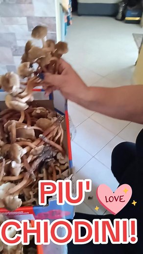 Maria Caruso on Reels