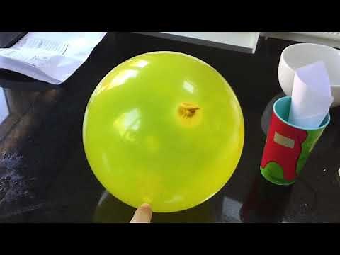 Exploding Seed Pod Dispersal experiment