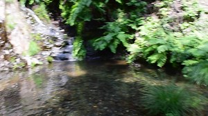 skinny dipping in a little pond with waterfall