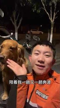 My First Dog:汉堡，The Grateful Poodle