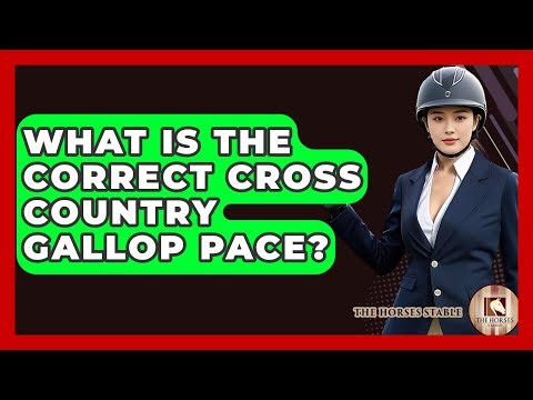 What Is The Correct Cross Country Gallop Pace? - The Horses Stable