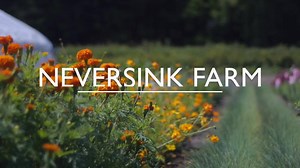 A Look Inside the Neversink Farm Course www.neversinkcourses.com #neversinkfarmcourse #neversinkfarm | Neversink Farm