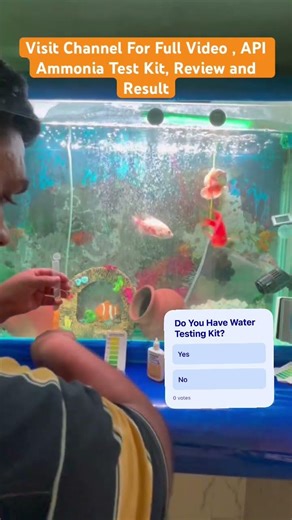 API Ammonia Test Kit: Does It REALLY Work? (Tested on My Tank) #ammonia #aquarium