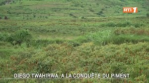 271K views · 7.4K reactions | Il debute en 2015 et Aujourd'hui Milliardaire grâce a la culture du PIMENT. Un exemple plus que jamais parfait ! | Amazone Agri-Elevage Burkina | Facebook