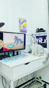 The first and last. 😂 #funnycatmoments #PurrShirts | PurrShirts