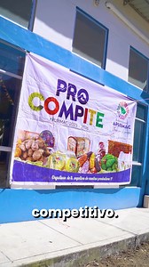 🌱 ¡Gran paso para el desarrollo de Apurímac! 🌱 El Gobierno Regional de Apurímac y PROCOMPITE han dado un paso gigantesco para transformar el futuro de nuestra región con la entrega oficial del Centro de Acopio para la producción de palta en Ocobamba, distrito de Circa, provincia de Abancay. 🙌 ¡Este centro no es solo una infraestructura, es la clave para potenciar la producción y exportación de nuestra palta, colocándola en el mapa internacional! 🌍🥑 Inversión: S/. 517,200.00 💰, una inversió