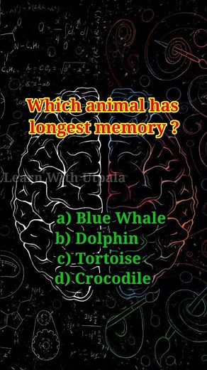 Most Interesting GK!! #intrestingfacts #generalknowledge #education #learning #study #viralshorts