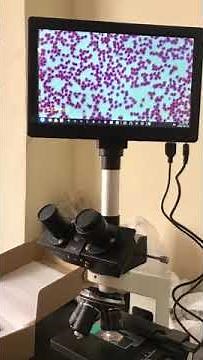 Trinocular Microscope with LED Screen