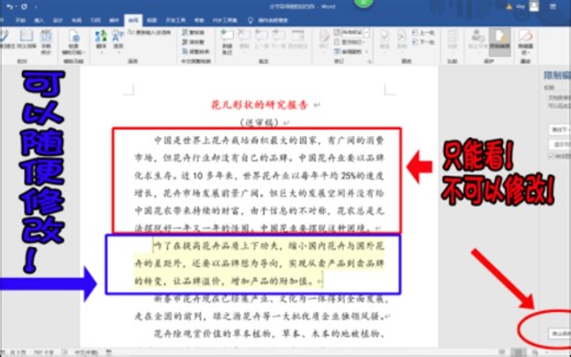 word文档怎样加密？为文档设置部分或全文保护，别人能看不能改，格式也能限制哦