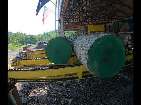 Sawing a clear red oak log # 736