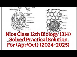 Nios Class 12th Biology (314) Eng Med. Solved Practical Solution (Apr/Oct) (2024-2025)