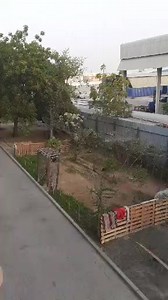 Multi Tech Info on Reels