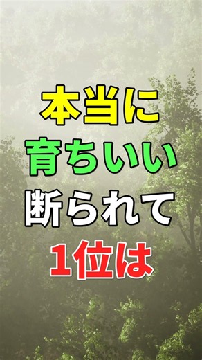本当に育ちのいい人が「断られた時」に必ず言う言葉1位は #知恵 #名言 #品格 #育ち #人間関係