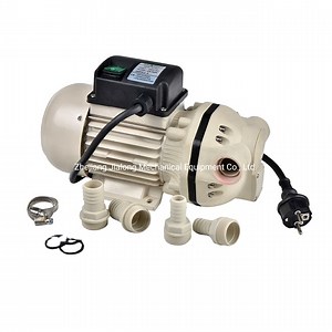 [Hot Item] 220V Electrical Diaphragm Adblue Pump for Urea Transfer