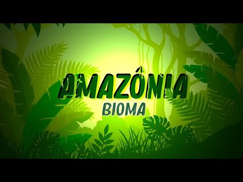 POINT DA CIÊNCIA | Ep.06: Bioma - Amazônia