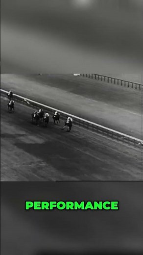“Seabiscuit’s Triumph: Saratoga’s Thrilling 1936 Race”