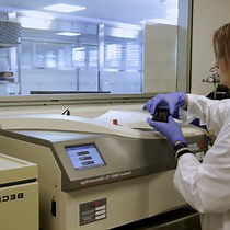 Flow Cytometric Analysis of Extracellular Vesicles from Cell-conditioned Media