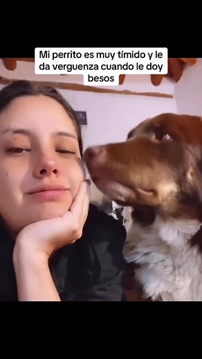 jslsnsj ahh #perritos #pena #pololos #vanapensarquesomospololos #paratiiiiiiiiiiiiiiiiiiiiiiiiiiiiiii #pfy #nose