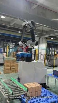4-axis Industrial robot for palletizing carton