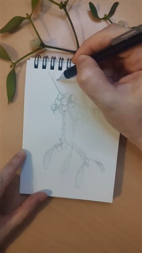 How to Draw Simple Mistletoe ❄️🎄🎇