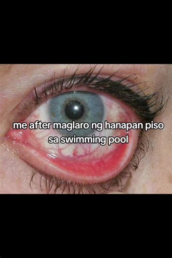 Unique Underwater Swimming Experience