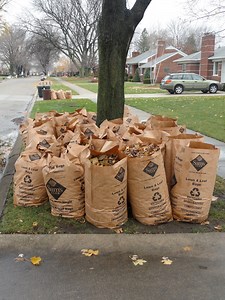 Yard Waste Pickup Resumes in Troy