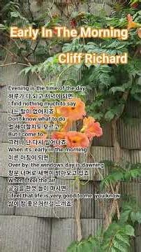 #oldies but goodies pop song 🎵 #올드팝듣기 #추억의팝송 #cliffrichard #earlyinthemorning #능소화