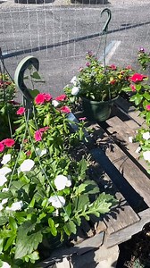 Come check out Lee Ann’s Fruit Market here at Spring City, TN!  | Spring City Chamber of Commerce | Facebook