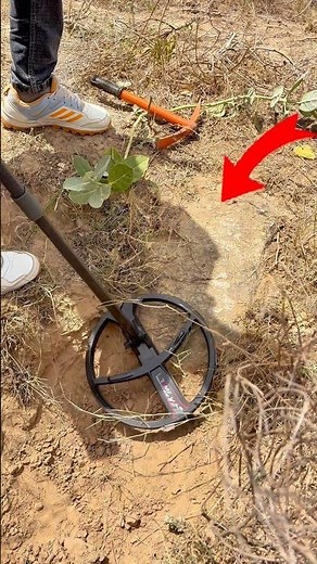 Treasure hunt old stone used xp deus2 metal detector #metaldetecting #treasurehunt #shortsfeed