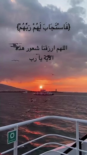 ‏#تلاوة_خاشعة #قران_كريم #اكسبلورexplore #فاستجاب_لهم_ربهم
