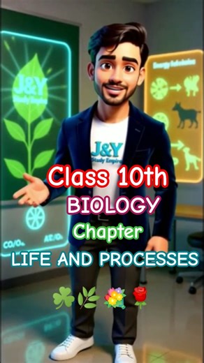 3D Animation of Life Processes 🌱 | Class 10 Biology | Nutrition to Excretion Explained #biologyclass
