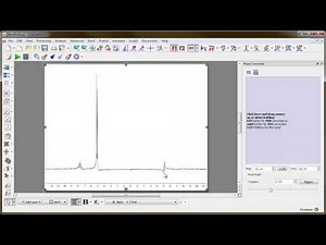 Mnova Real FT Setting
