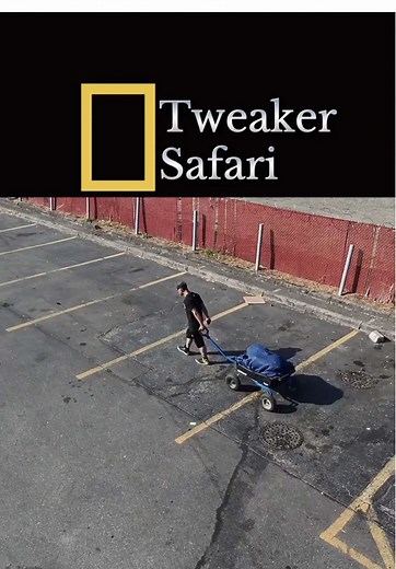 Exploring Tweakcart: A Tweaker Safari Experience