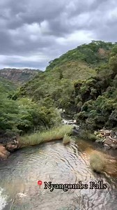 Welcome to Zimbabwe 🇿🇼 Welcome to the Highlands of Nyanga National Park, where Mother Nature truly lives. Imagine waking up early in the rainy season. You walk quietly under tall trees as cool droplets fall gently from the leaves, touching your skin and waking your soul. The grass is still wet, brushing against your legs as you move deeper into the bush. You begin an early-morning mountain hike. Birds sing their songs just for you. Frogs echo from nearby streams. Rivers flow softly, and the ra