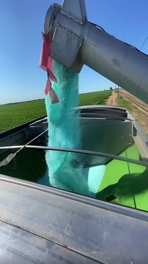 12-12-17 #arkansas #customapplicator #fendt #agco #fertlizerseason2025 #fertlizer #corn #2brothersfertlizing